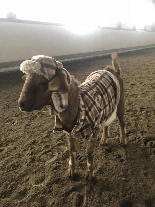 morning picdump 53 pics 9.html - 53 HD Photos | Premium Gallery 2018