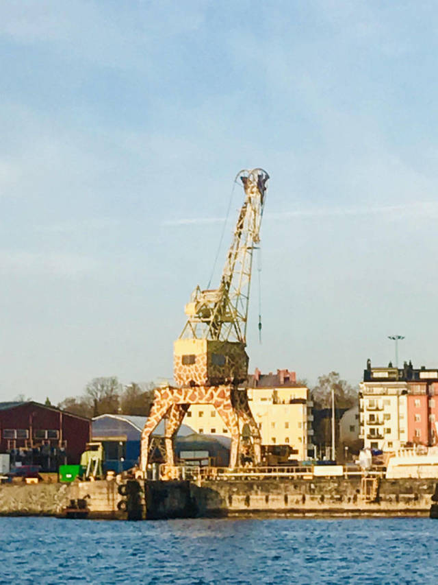 morning picdump 53 pics 9.html - 53 HD Photos | Premium Gallery 2018