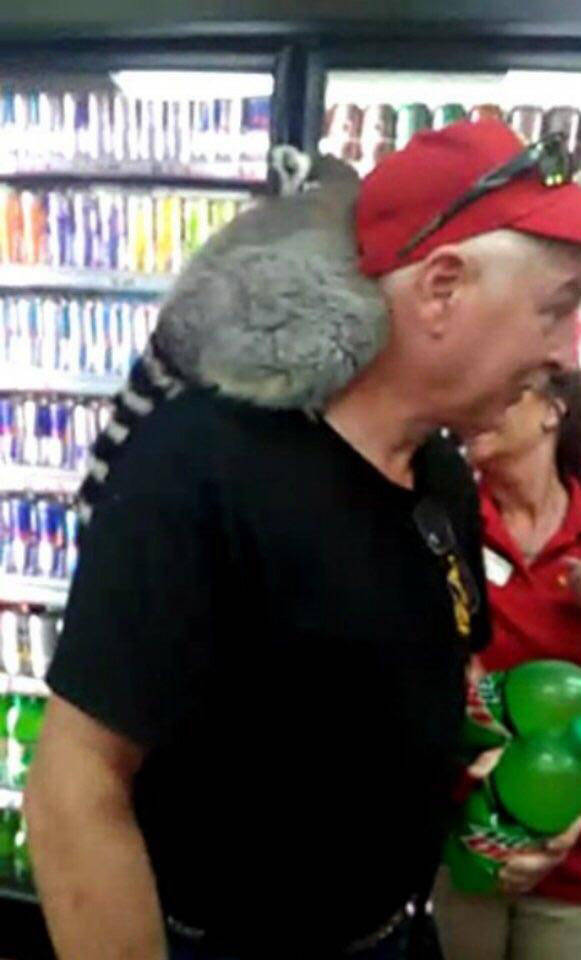 morning picdump 53 pics 9.html - 53 HD Photos | Premium Gallery 2018