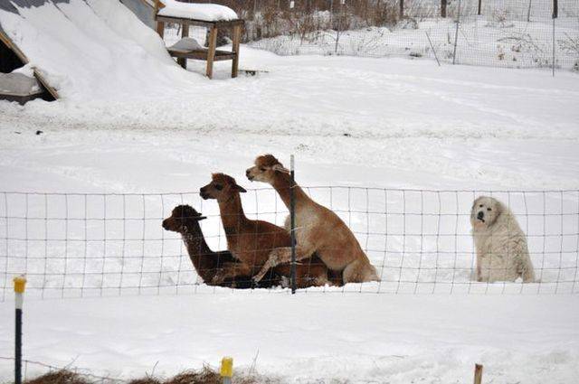 daily picdump 93 pics 2.html - 93 HD Photos | Premium Gallery 2018