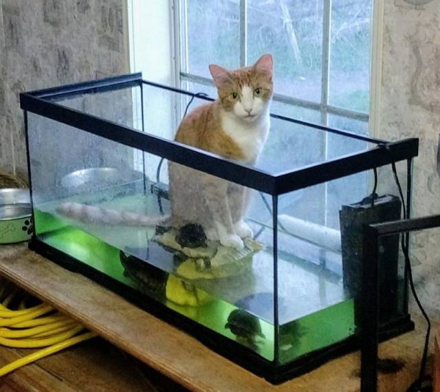 daily picdump 93 pics 2.html - 93 HD Photos | Premium Gallery 2018