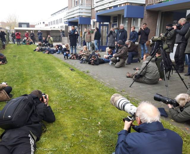 daily picdump 93 pics 2.html - 93 HD Photos | Premium Gallery 2018