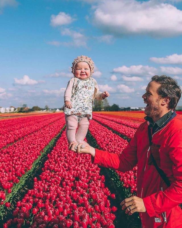 daily picdump 93 pics 2.html - 93 HD Photos | Premium Gallery 2018