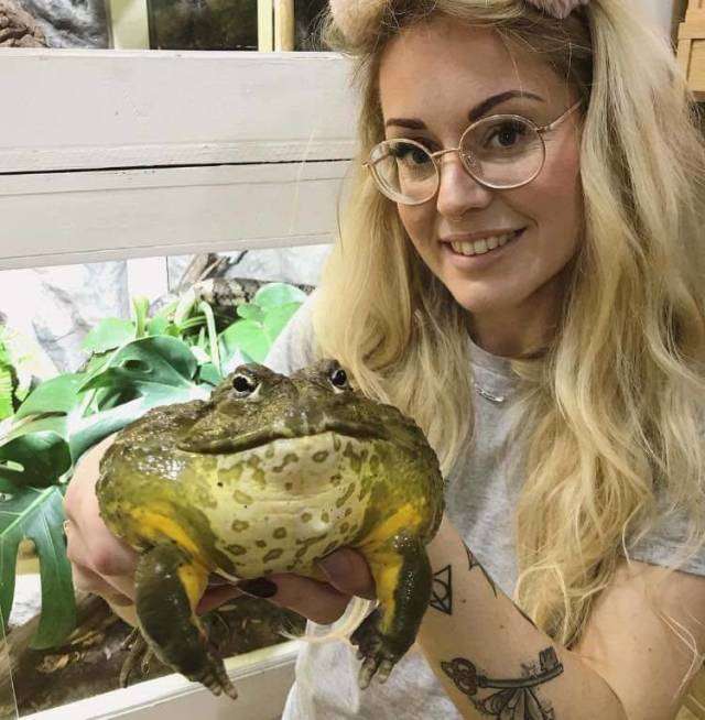 daily picdump 93 pics 2.html - 93 HD Photos | Premium Gallery 2018