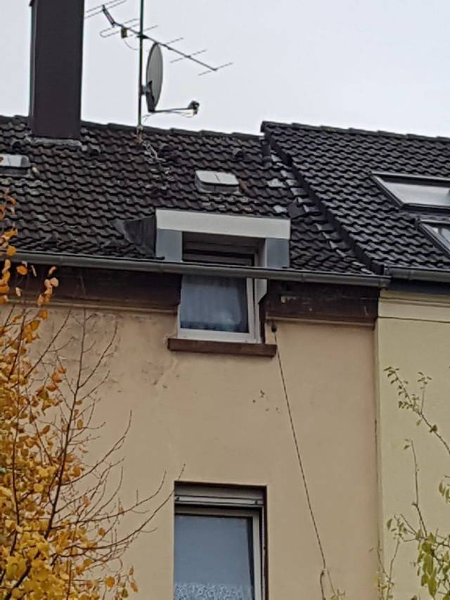 daily picdump 93 pics 2.html - 93 HD Photos | Premium Gallery 2018