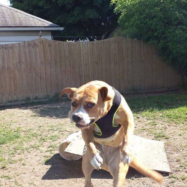 morning picdump 51 pics 2.html - 51 HD Photos | Premium Gallery 2018