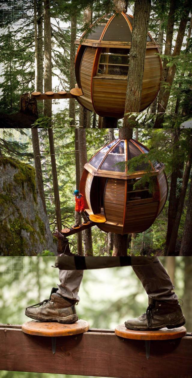 morning picdump 51 pics 2.html - 51 HD Photos | Premium Gallery 2018