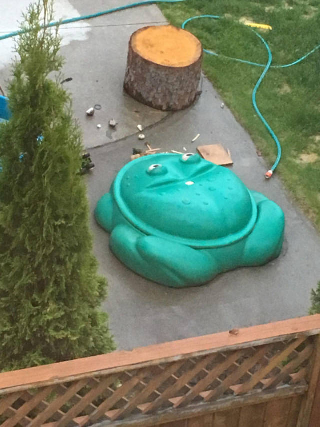 morning picdump 51 pics 2.html - 51 HD Photos | Premium Gallery 2018