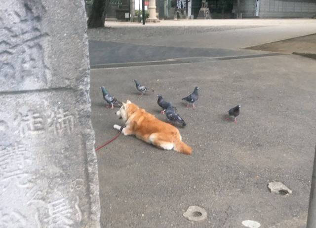 daily picdump 94 pics 9.html - 94 HD Photos | Premium Gallery 2018