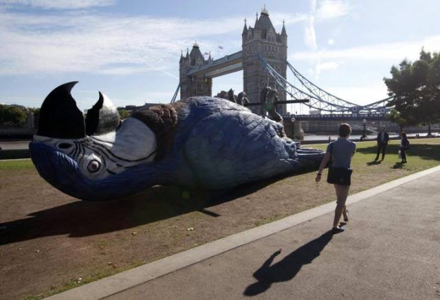 daily picdump 94 pics 9.html - 94 HD Photos | Premium Gallery 2018