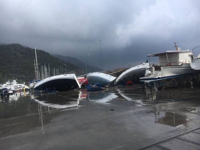 daily picdump 94 pics 9.html - 94 HD Photos | Premium Gallery 2018