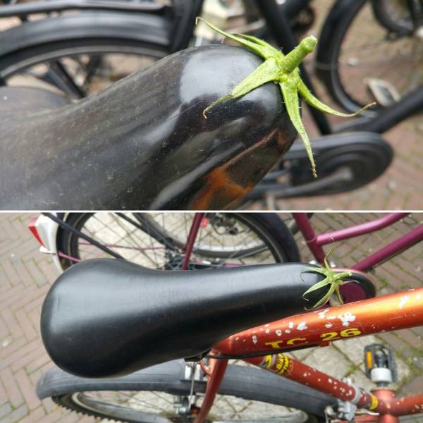 daily picdump 94 pics 9.html - 94 HD Photos | Premium Gallery 2018