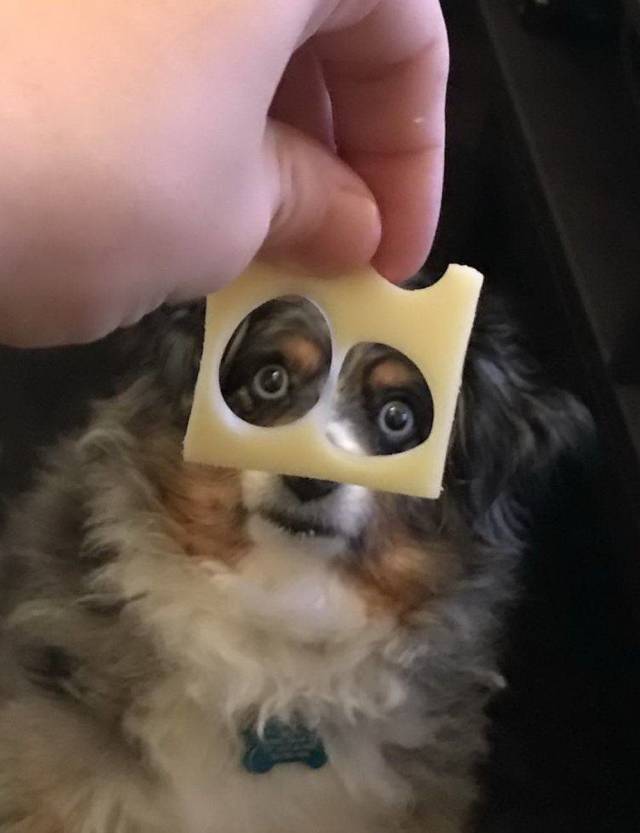 daily picdump 94 pics 9.html - 94 HD Photos | Premium Gallery 2018