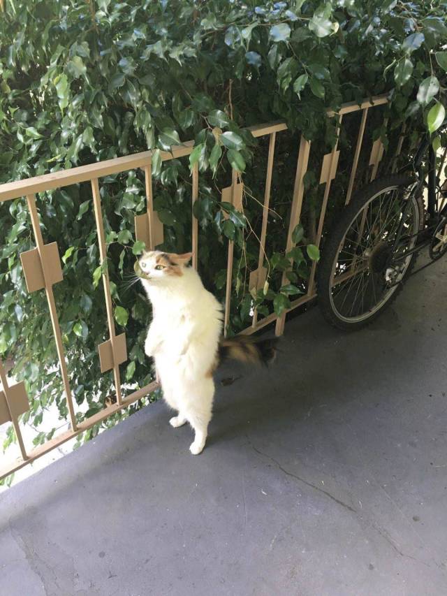 daily picdump 94 pics 9.html - 94 HD Photos | Premium Gallery 2018