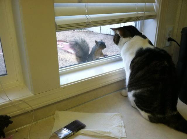 morning picdump 54 pics 27.html - 54 HD Photos | Premium Gallery 2018