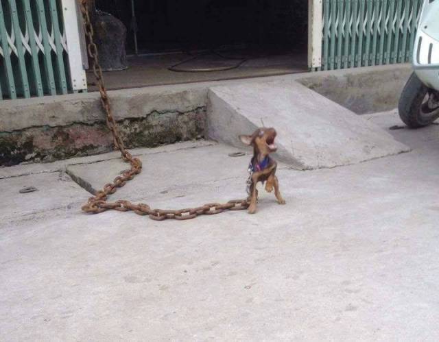 morning picdump 54 pics 27.html - 54 HD Photos | Premium Gallery 2018