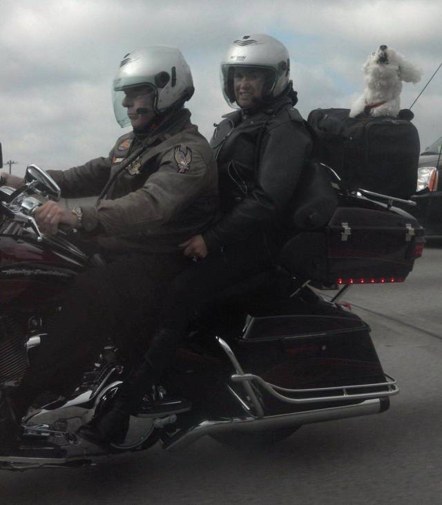 morning picdump 54 pics 27.html - 54 HD Photos | Premium Gallery 2018