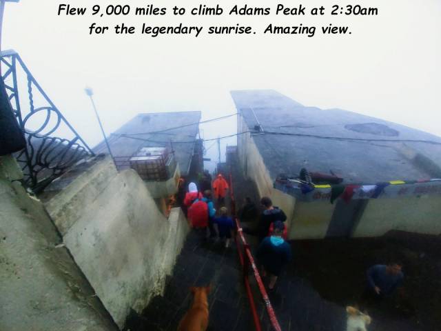 Daily Picdump [WEEKEND EDITION]