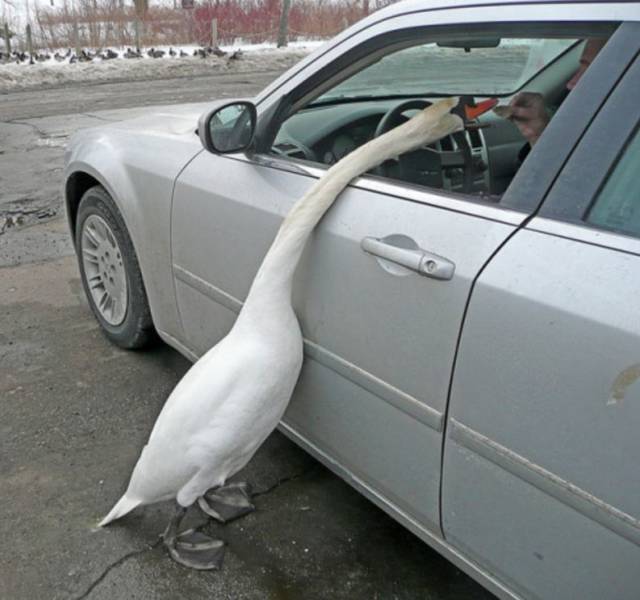 Daily Picdump [WEEKEND EDITION]