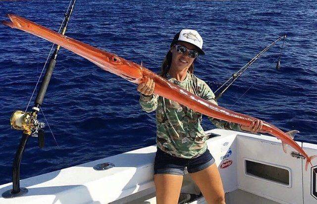 Daily Picdump [WEEKEND EDITION]