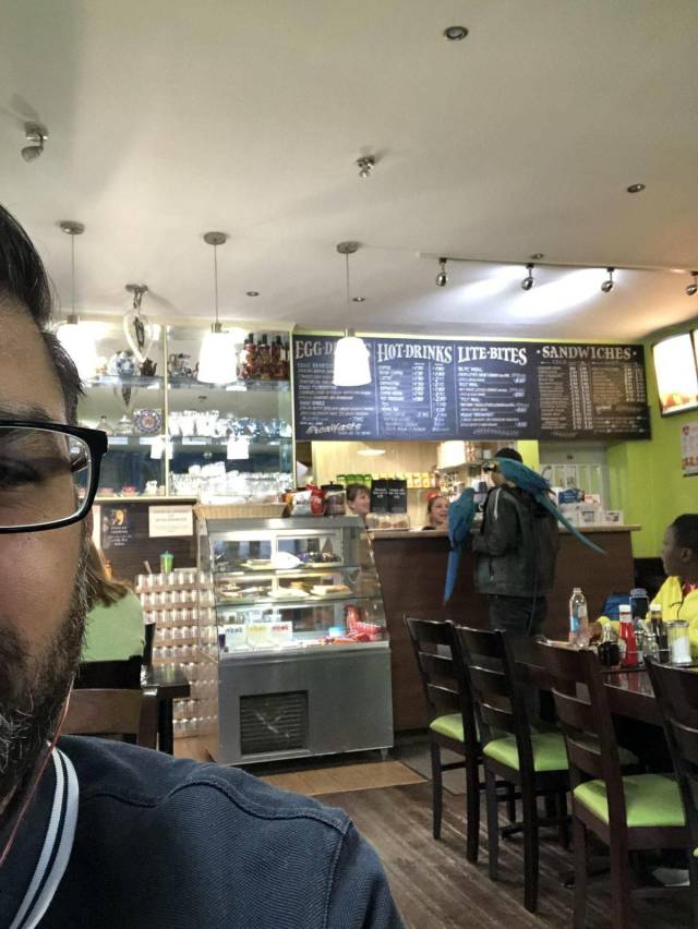 daily picdump weekend edition 64 pics 7.html - 64 HD Photos | Premium Gallery 2018