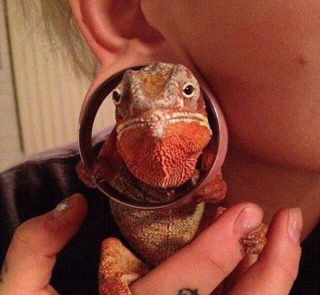 Freaks Or Cuties? You Decide