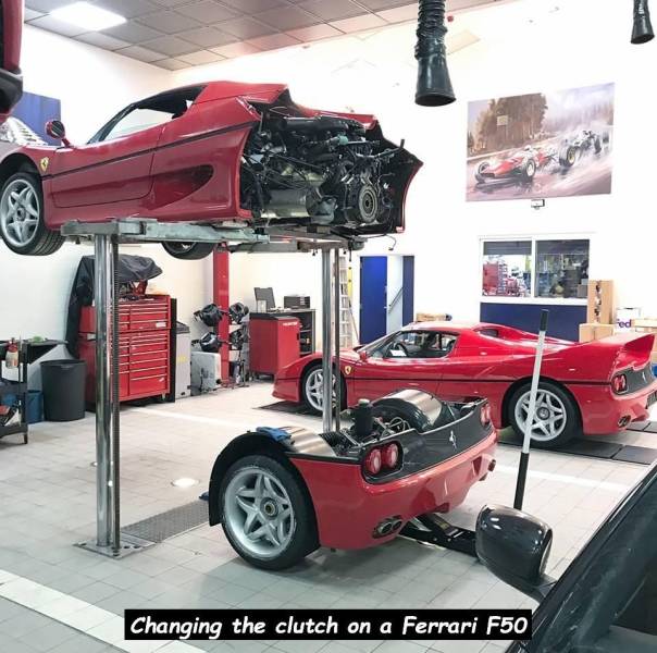 daily picdump 92 pics 25.html - 92 HD Photos | Premium Gallery 2018