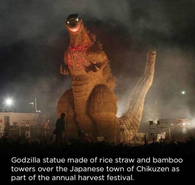 daily picdump 92 pics 25.html - 92 HD Photos | Premium Gallery 2018