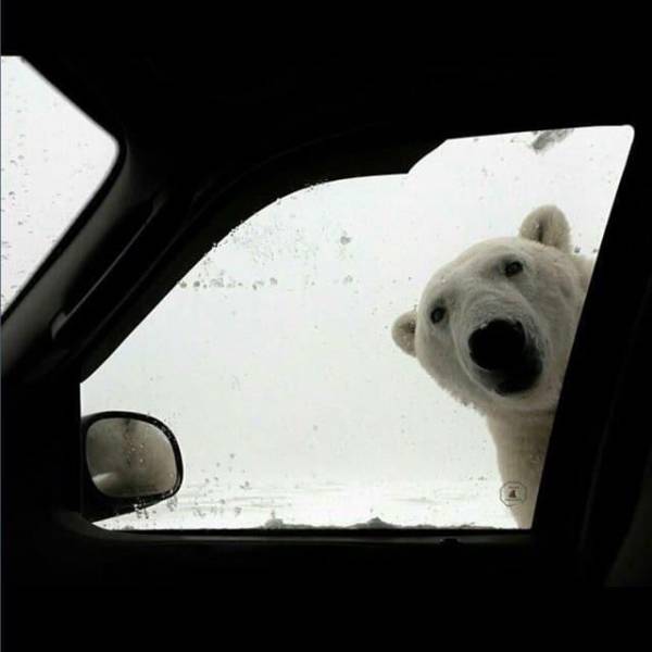 daily picdump 92 pics 25.html - 92 HD Photos | Premium Gallery 2018