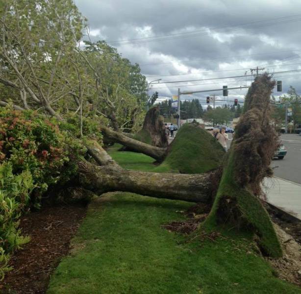 daily picdump 92 pics 25.html - 92 HD Photos | Premium Gallery 2018