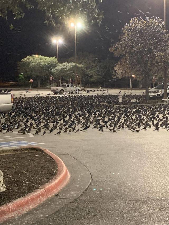 daily picdump 92 pics 25.html - 92 HD Photos | Premium Gallery 2018