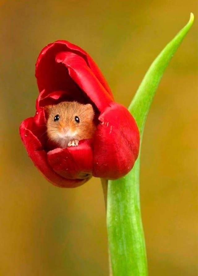 daily picdump 92 pics 25.html - 92 HD Photos | Premium Gallery 2018