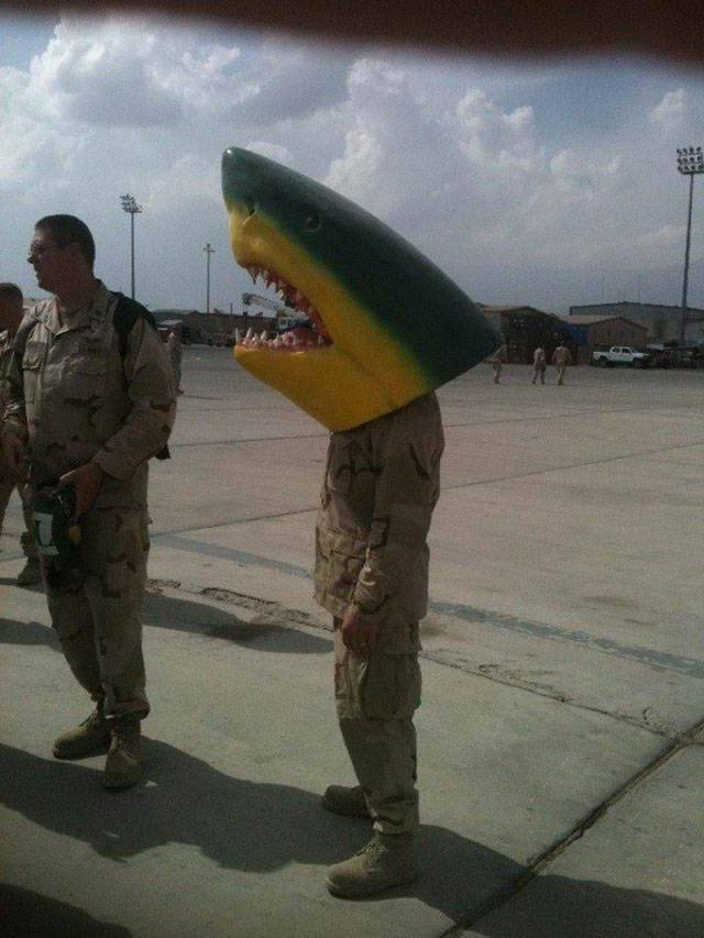 daily picdump 92 pics 25.html - 92 HD Photos | Premium Gallery 2018