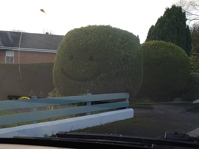 daily picdump 96 pics 8.html - 96 HD Photos | Premium Gallery 2018