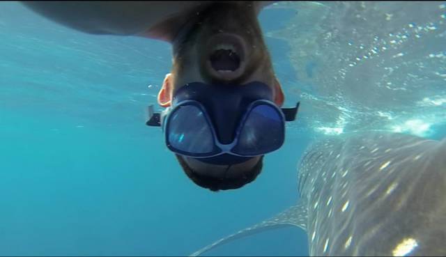 daily picdump 96 pics 8.html - 96 HD Photos | Premium Gallery 2018