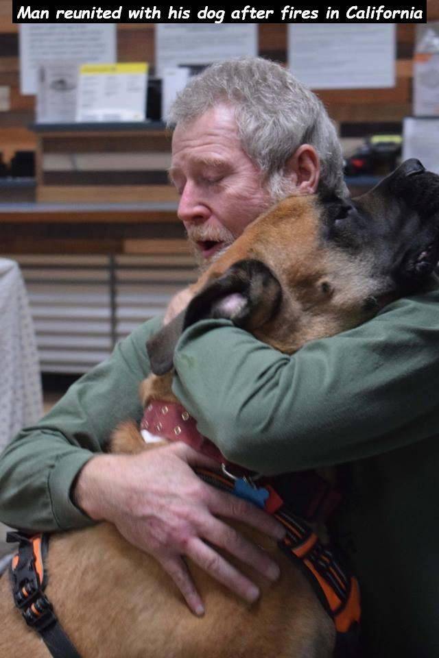 daily picdump 96 pics 8.html - 96 HD Photos | Premium Gallery 2018