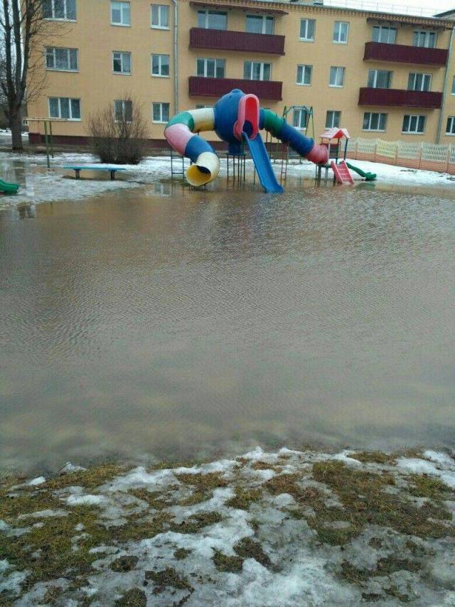 daily picdump 96 pics 8.html - 96 HD Photos | Premium Gallery 2018