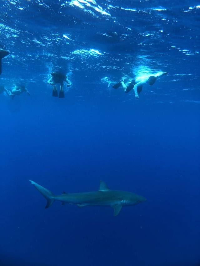 daily picdump 96 pics 8.html - 96 HD Photos | Premium Gallery 2018