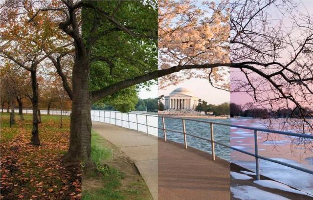 morning picdump 53 pics 8.html - 53 HD Photos | Premium Gallery 2018