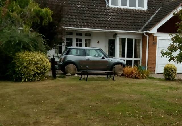 morning picdump 53 pics 8.html - 53 HD Photos | Premium Gallery 2018