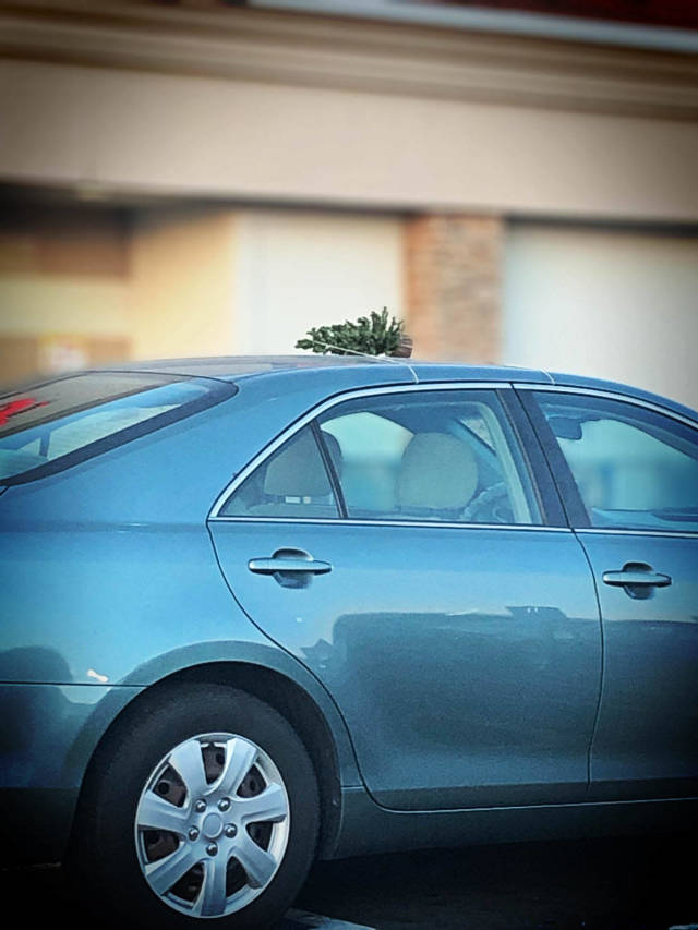 morning picdump 53 pics 8.html - 53 HD Photos | Premium Gallery 2018