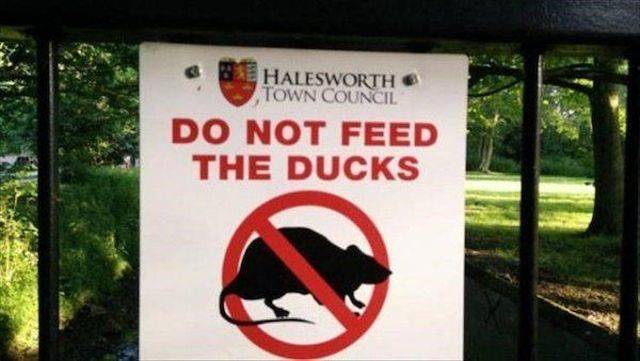 daily picdump 93 pics 17.html - 93 HD Photos | Premium Gallery 2018