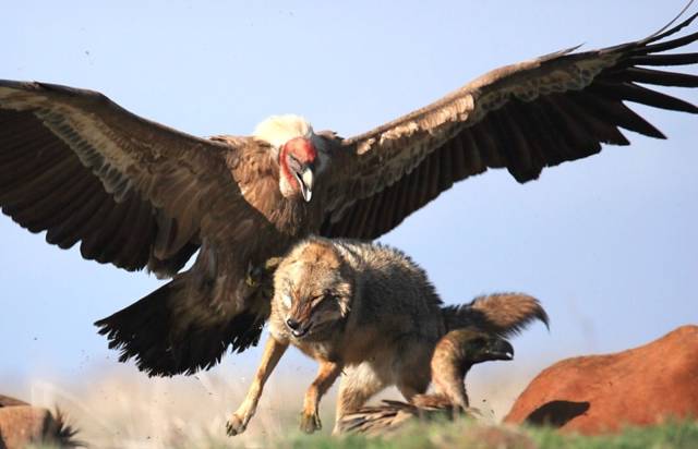 daily picdump 93 pics 17.html - 93 HD Photos | Premium Gallery 2018