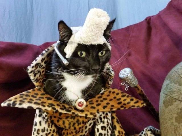 daily picdump 93 pics 17.html - 93 HD Photos | Premium Gallery 2018