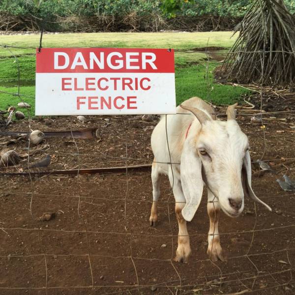 daily picdump 93 pics 17.html - 93 HD Photos | Premium Gallery 2018