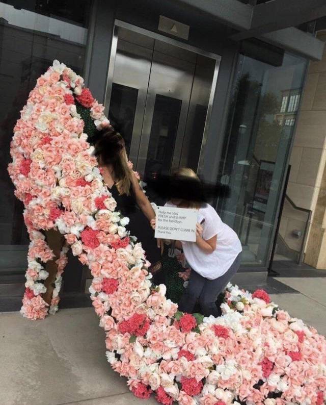 daily picdump 93 pics 17.html - 93 HD Photos | Premium Gallery 2018