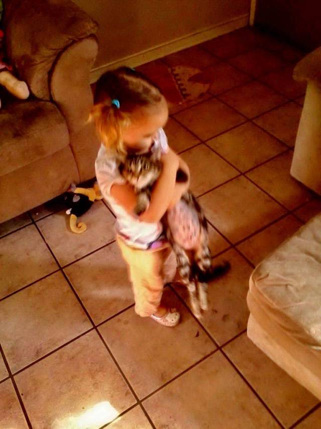 daily picdump 93 pics 17.html - 93 HD Photos | Premium Gallery 2018