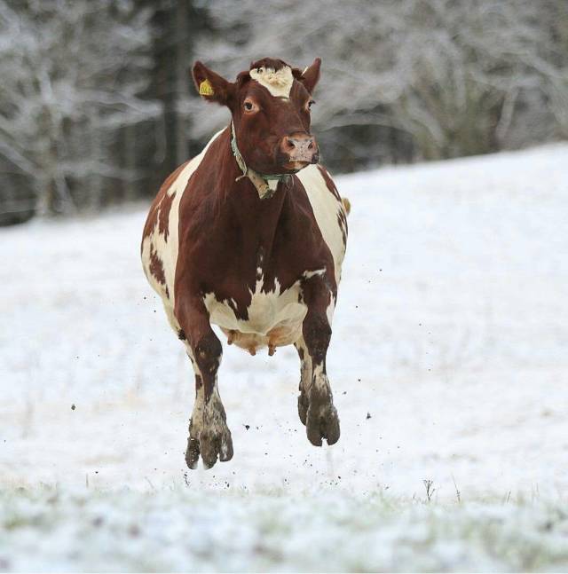 daily picdump 93 pics 17.html - 93 HD Photos | Premium Gallery 2018