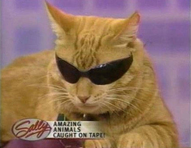 morning picdump 52 pics 3.html - 52 HD Photos | Premium Gallery 2018