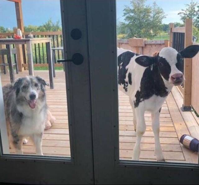 morning picdump 52 pics 3.html - 52 HD Photos | Premium Gallery 2018